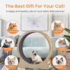 Cat Exercise Wheel - Indoor Cat Treadmill with Carpeted Running Track, Safety Cat Treadmill with Latch, Weighted Wheel for Cats, Add Fun to Cat Exerci